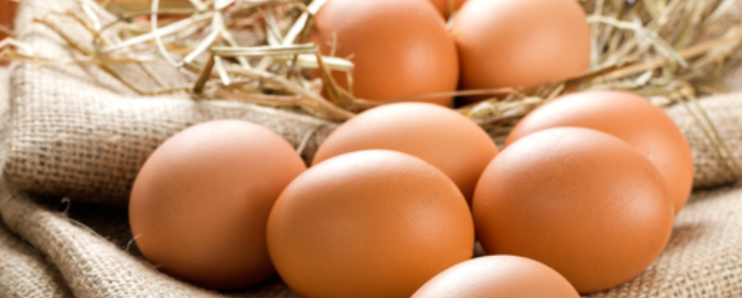 datum spotřeby vejce